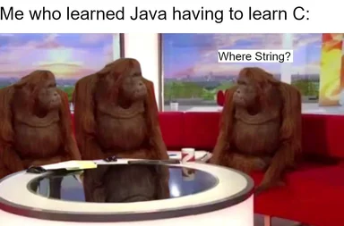 Three monkeys sitting at a desk looking confused, with one monkey asking 'Where String?'