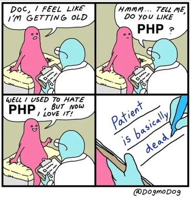 Cartoon meme about a doctor's appointment with a pink blob-like character discussing their feelings of aging and their changing opinion on PHP.