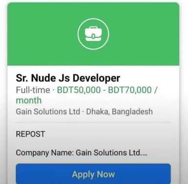 Sr. Nude Js Developer job posting meme