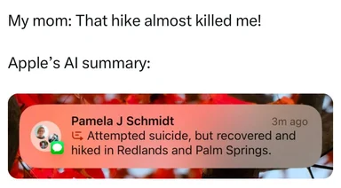 AI summary of text message about a hike and attempted suicide