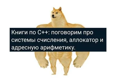 Doge image with muscular arms and a serious expression, overlaid with a text box about C++ books