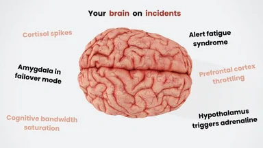Brain with labels describing effects of incidents on cognitive function