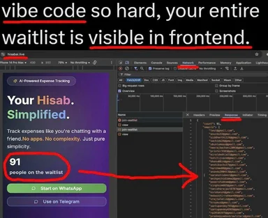 Meme of a coder's waitlist visible in frontend