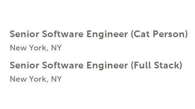 humorous job listing for senior software engineer with cat person and full stack titles