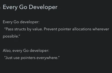 Go developer humor about passing structs by value vs using pointers
