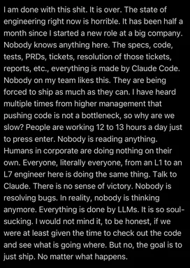 Screenshot of a developer's rant on a black background complaining that at their new big-company role every spec, test,