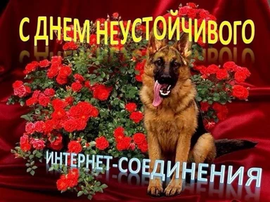 German Shepherd dog sitting in front of red roses with Russian text overlay