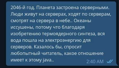 a screenshot of a text message about a futuristic world powered by servers with a mention of java
