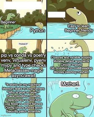 Python programming meme about beginner experience