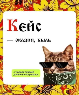 cat with sunglasses and bandana