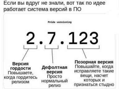 Diagram explaining software versioning numbers as Pride Versioning: 2 for pride, 7 for default, 123 for shame.