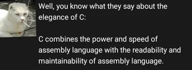 Weasel smoking a cigarette with a caption about C programming language