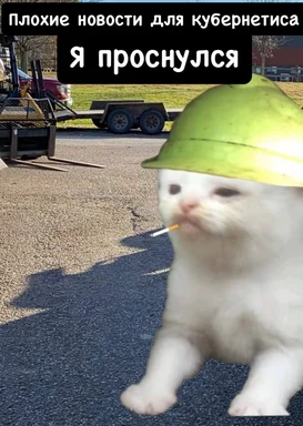 cat in hard hat and cigarette