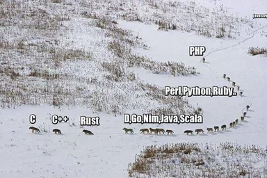 a snowy hill with a pack of dogs labeled with programming languages