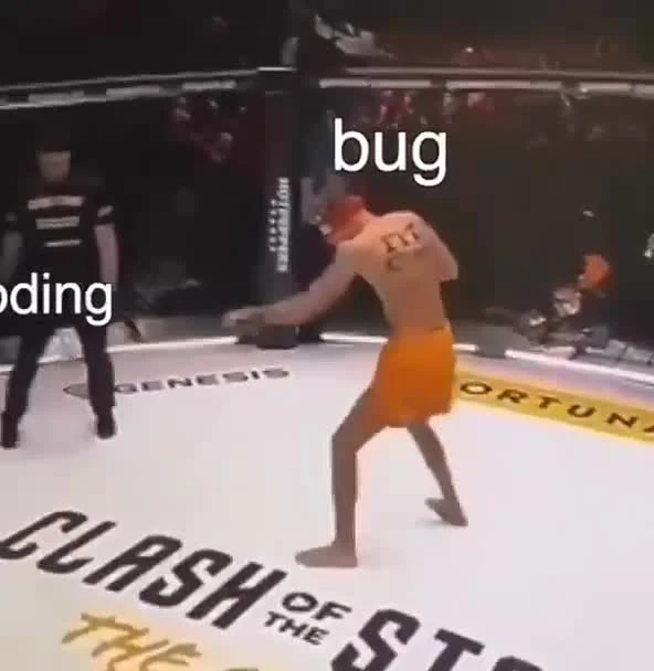 MMA fighter labeled 'bug' kicks another fighter labeled 'coding' in a 'Clash of the Stars' octagon