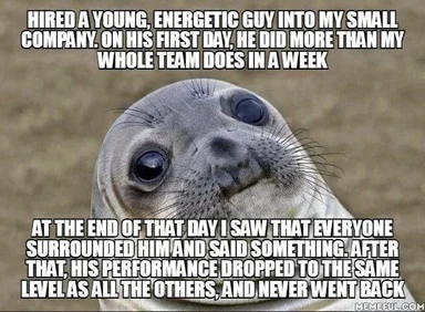 surprised seal meme about new employee performance