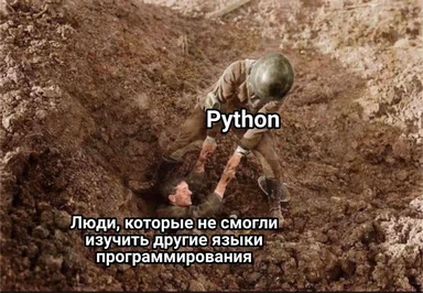Man digging a hole with another man buried, labeled 'Python' and 'People who could not learn other programming languages'