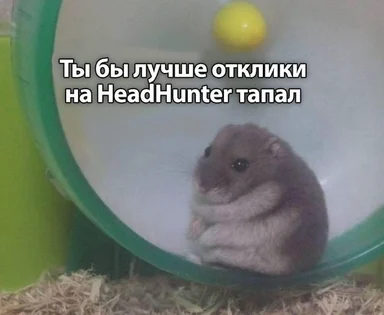 hamster in wheel with russian text about headhunter