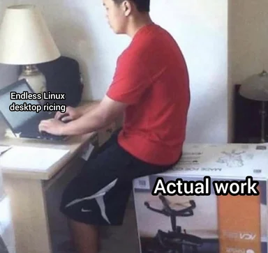 Man sitting on exercise bike box at desk with laptop labeled 'Endless Linux desktop ricing' and 'Actual work'