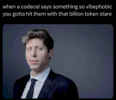 Sam Altman meme with a serious expression and the caption 'when a codecel says something so vibephobic you gotta hit them with that billion token stare'