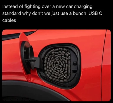 Electric car charging port with multiple USB-C ports