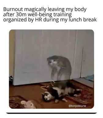 a meme of a cat leaving another cat's body