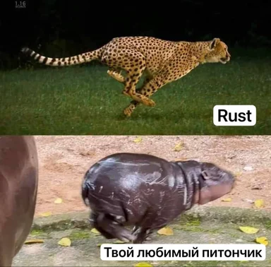 cheetah and hippopotamus meme comparing rust and python