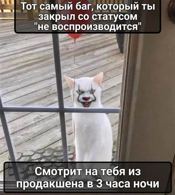 angry cat meme with russian caption about software bug
