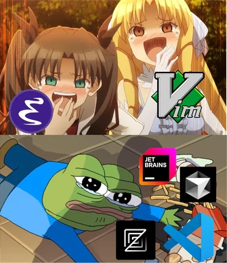 funny meme comparing vim and other IDEs