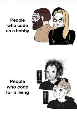 cartoon drawings comparing hobbyist vs professional coders
