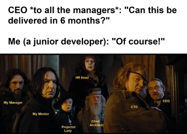 junior developer lies to ceo about delivery timeline