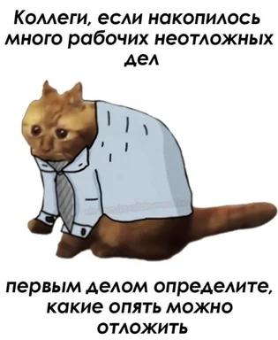 cat in a shirt and tie