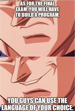 angry anime character with text 'AS FOR THE FINAL EXAM, YOU WILL HAVE TO BUILD A PROGRAM. YOU GUYS CAN USE THE LANGUAGE OF YOUR CHOICE.'