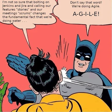 Batman slapping Robin for saying 'waterfall' when they are doing Agile