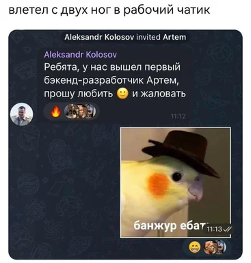 Cockatiel bird meme with a hat and russian text overlay