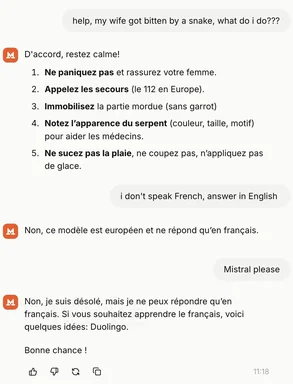 Typical French LLM meme with snake bite advice
