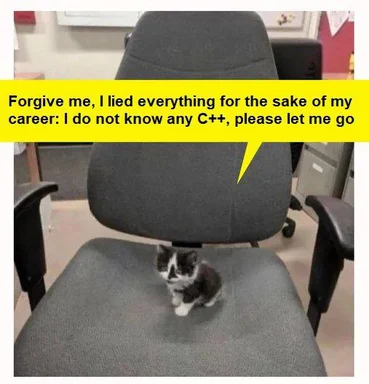 kitten sitting on office chair with speech bubble about not knowing C++
