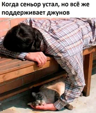 Senior developer exhausted but supporting junior devs