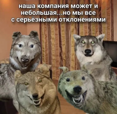 Four wolves with aggressive expressions and caption in Russian