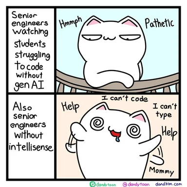 cat meme about senior engineers and coding with AI