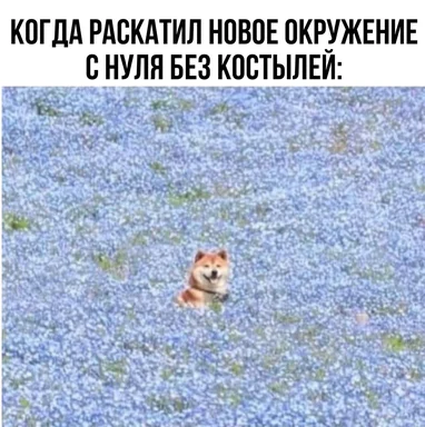 Shiba dog in a field of flowers with a happy expression