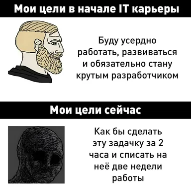 IT career goals meme