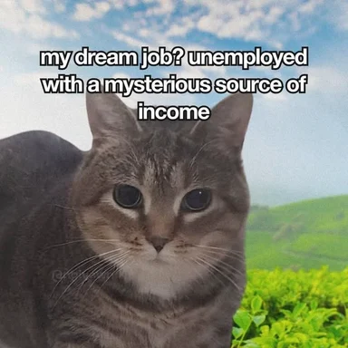 A grey cat with a serious expression against a green background with the text 'my dream job? unemployed with a mysterious source of income'
