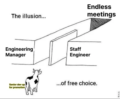 A cow looks at a misleadingly simple path to becoming a senior dev, with a fork leading to endless meetings