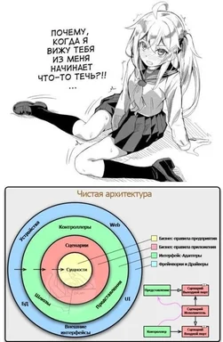 An anime girl blushing and sweating above a diagram of Clean Architecture, with Russian text asking why she is leaking.