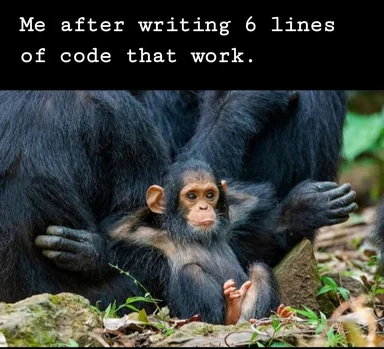 a baby chimpanzee sitting under its mother with a caption about coding