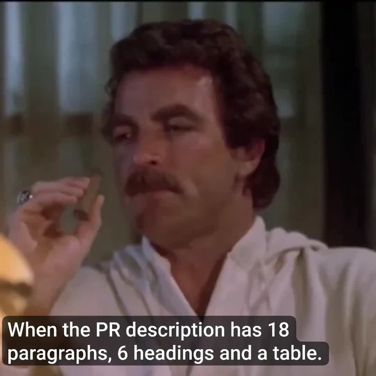 Man with a mustache in a white robe holding a small object with a skeptical, disapproving expression, captioned 'When the PR description has 18 paragraphs, 6 headings and a table.'