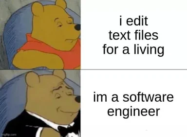 Two-panel Winnie the Pooh image: top panel shows Pooh with the text 'i edit text files for a living', bottom panel shows