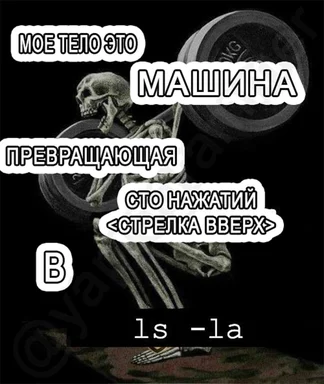 Skeleton lifting weights with Russian text overlay