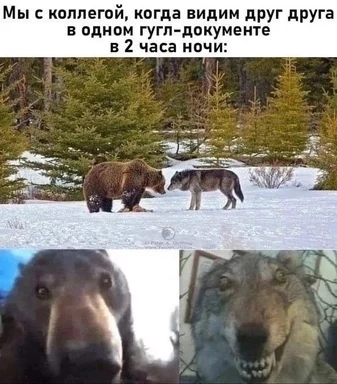 Bear and wolf encounter meme with Russian caption